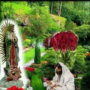 Meet your Posher, Yaneth